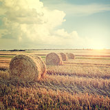 Summer Farm Scenery with Haystacks at Sunset