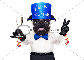 happy new year dog