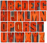 alphabet set in letterpress wood type