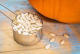 scoop of pumpkin seeds