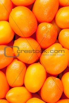 Fresh garden orange tomatoes
