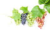 Bunch of red, purple and white grapes
