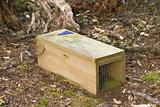 Stoat Trap