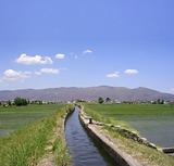 irrigation channel for rice field