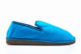 Lady blue slipper