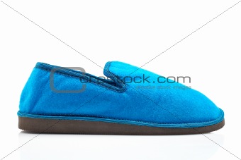 Lady blue slipper