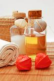 SPA accessories for wellness