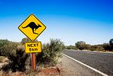 Kangaroo crossing Australia