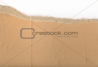 Corrugated Cardboard 02