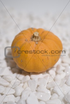 Orange Mini Pumpkin
