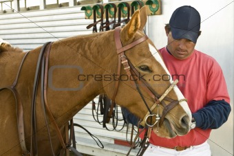 Chris Readies Horse for Polo