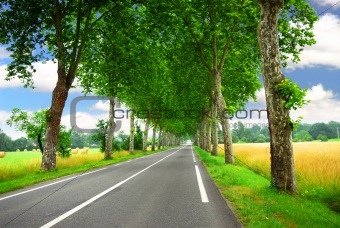 French country road
