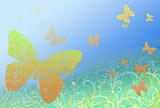 butterfly spring background