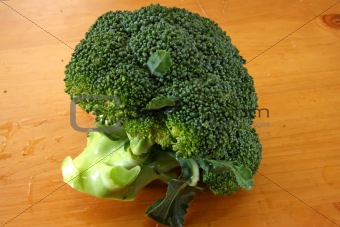Fresh raw brocolli