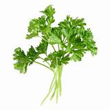 a few sprigs of parsley, isolated