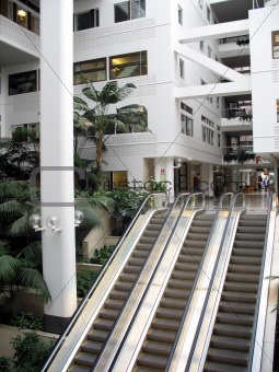 Escalators in an office building