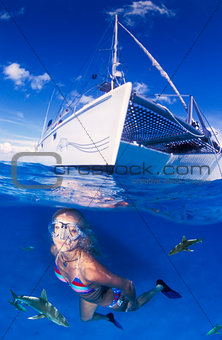 A adventurous woman swimming with sharks
