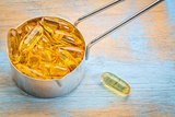 fish oil supplement  capsules