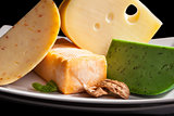 Culinary cheese variation close up.