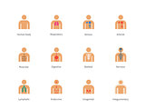 Anatomy and Human Systems color icons on white background.