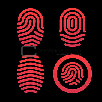 Set of fingerprints. Identification system