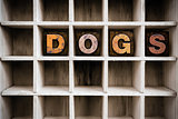 Dogs Concept Wooden Letterpress Type in Draw
