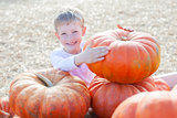 kid at pumpkin patch