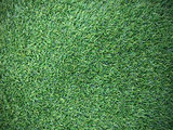 Green artificial grass