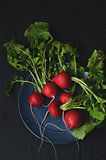  fresh radishes on wooden table