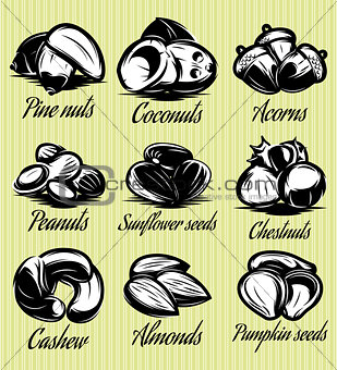 set symbols patterns of different seeds, nuts, fruits