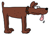Funny brown dog