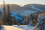 morning scene in winter mountains