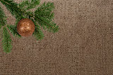 green branch with christmas ball on canvas background