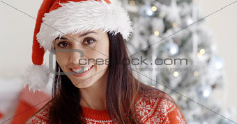 Smiling gorgeous young woman in a Santa hat