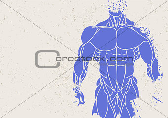silhouette of a mans torso