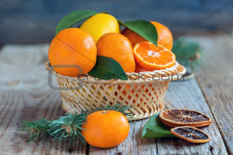 Basket with citrus and spruce branches.