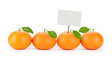 fresh orange tangerine with price tag