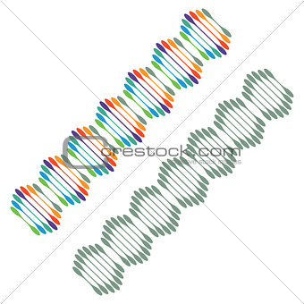 DNA genetically