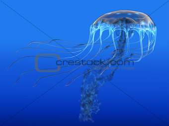 Blue Spotted Jellyfish