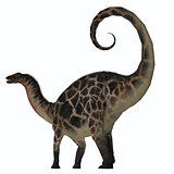 Dicraeosaurus Dinosaur Tail