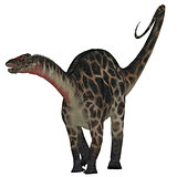 Dicraeosaurus on White