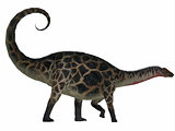 Dicraeosaurus Side Profile