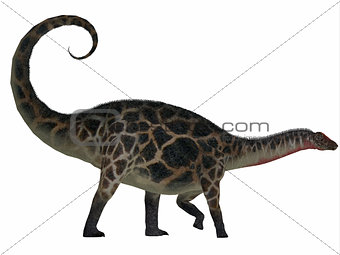 Dicraeosaurus Side Profile