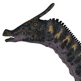 Saurolophus Dinosaur Head