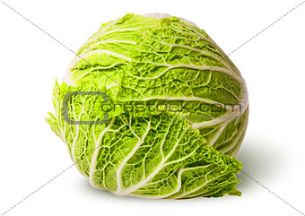Chinese cabbage top view
