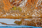 water, snow, ice and red mountains