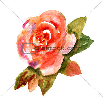 Vintage watercolor bright red rose