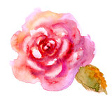 Vintage watercolor bright red rose