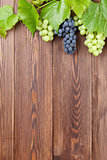 Bunch of grapes and vine on wooden table