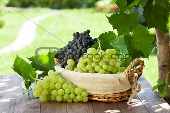Red and white grapes in basket